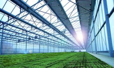 科技赋能，沃野新生 传统农业向生态农业的转型之路