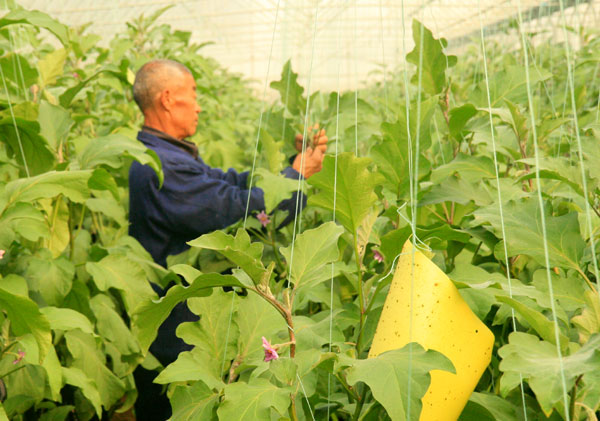 生态农业赋能，运城谱写绿色发展新篇章