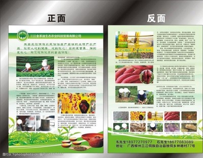 描绘绿色未来 生态农业公司的视觉叙事与开发实践