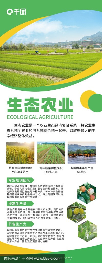 生态农业宣传展架 让绿色发展理念深入人心