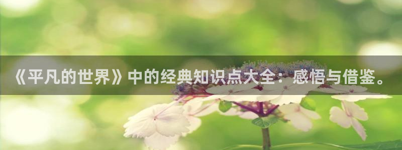镇魂小说表白：《平凡的世界》中的经典知识点大全：感悟与借鉴。
